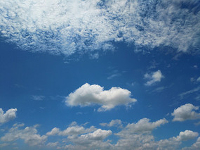 ����Ʈ����