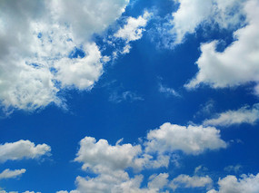 �����Ʋ�