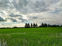 ���յ���羰