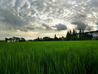 ���յ��ﾰɫ