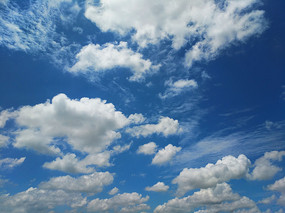 �ƺ����� 