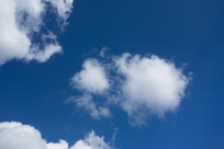 Ʈ�����������