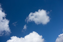 ���ߵ��������