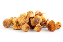 �ױ����ϵ����׾�