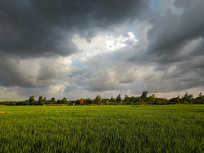 ̨����Ϧ����Ұ