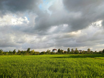 ����ɫ����