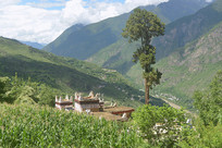 ���ͼ׾Ӳ�կ��԰��Ӹ��