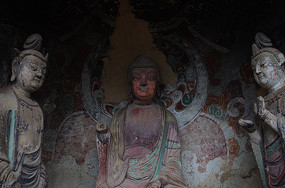 �ʻ����Ⱥ��