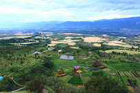 ������԰