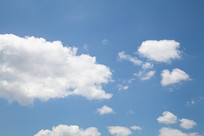 ������Ʊ����ز�