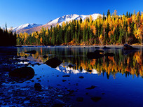 �������ѩɽ�羰��