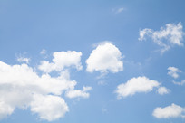 �����ϵĶ�����