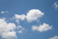 ������Ʈ���İ���