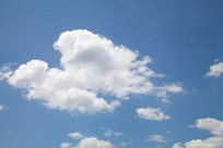 Ʈ��Ʈȥ���������