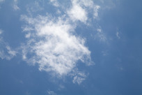 ���Ʈɢ���������