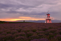 Ϧ���µĴ�糵