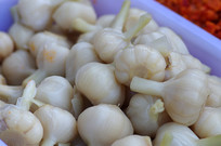 ���Ƶ�����