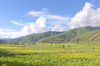 �Ĵ�¯���ش���ԭҰ���Ͳ˻�