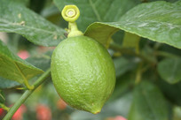 ˮ����д-���ʹ�ʵ 