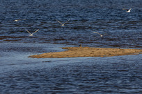 ���������뺣���