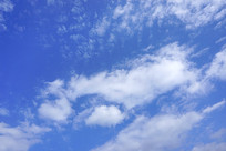 �Ƶ������������� 