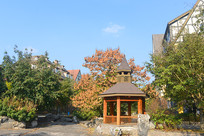 �ɶ����ÿ���С����ʽ԰��