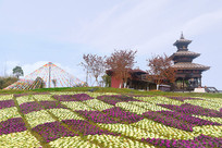 �Ĵ��ɶ�εȻ����-�Ჴ���� 