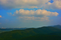 ���������Ʋ�