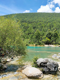 ���¹Ⱥ���