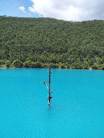 ���¹���ɫ���� 