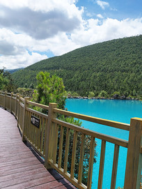 ���¹�ľ�ź���