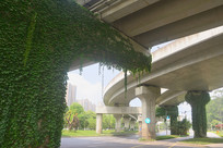 ����ɽ���ĳɶ��������� 