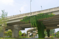 �ɶ����������������� 