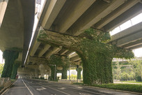 �ɶ�����������ɽ��