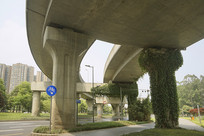 �ɶ�����·�������� 