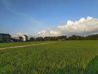 ��ׯ����