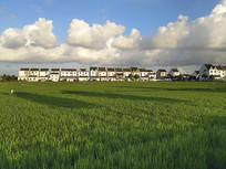 ��ׯ�ƺ�����