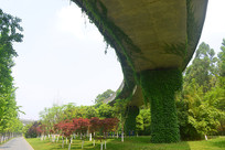 ���ɽ�߼���