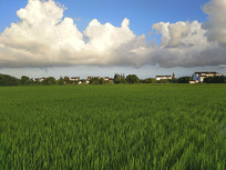 �����������ͺ���