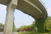 �̻���ĳɶ��������� 