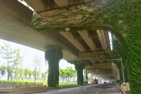 ������ɽ���ĳɶ��������� 