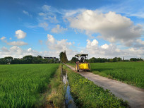 ����ũ��æ