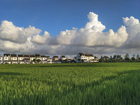 �����ƺ���ׯ����