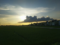 Ϧ���ƺ���ɫ