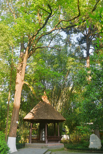 �ɶ��Ÿ�����������ñ�ͤ 