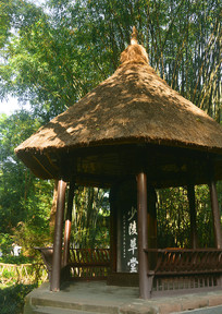 �Ÿ�����������ñ�ͤ