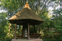 �Ÿ�����-������ñ�ͤ 