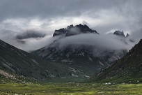 ��ԭɽ����������