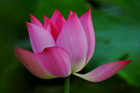 �ļ������ز�