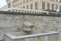 ¹ֲݵȪ